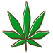 Icon Leaf